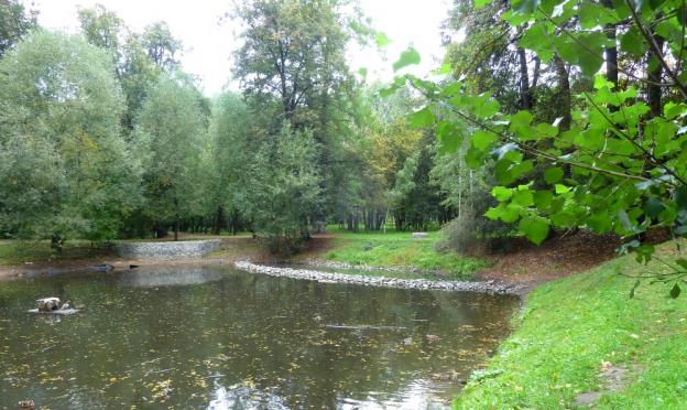 Грачевский парк в Ховрино: зона отдыха с необычной историей Парк грачевка
